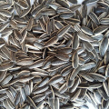 2019 Iraq market hot sale sunflower seeds 601